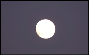 30X zoom sample